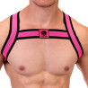 Harnais élastique Colin Rose