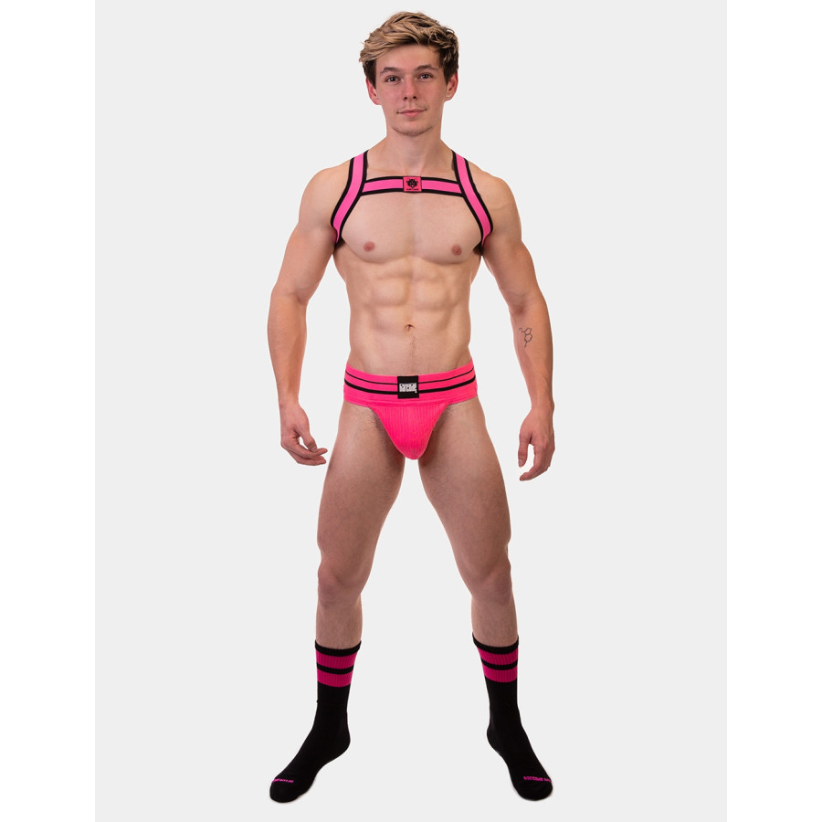 Harnais élastique Colin Rose