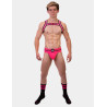 Harnais élastique Colin Rose