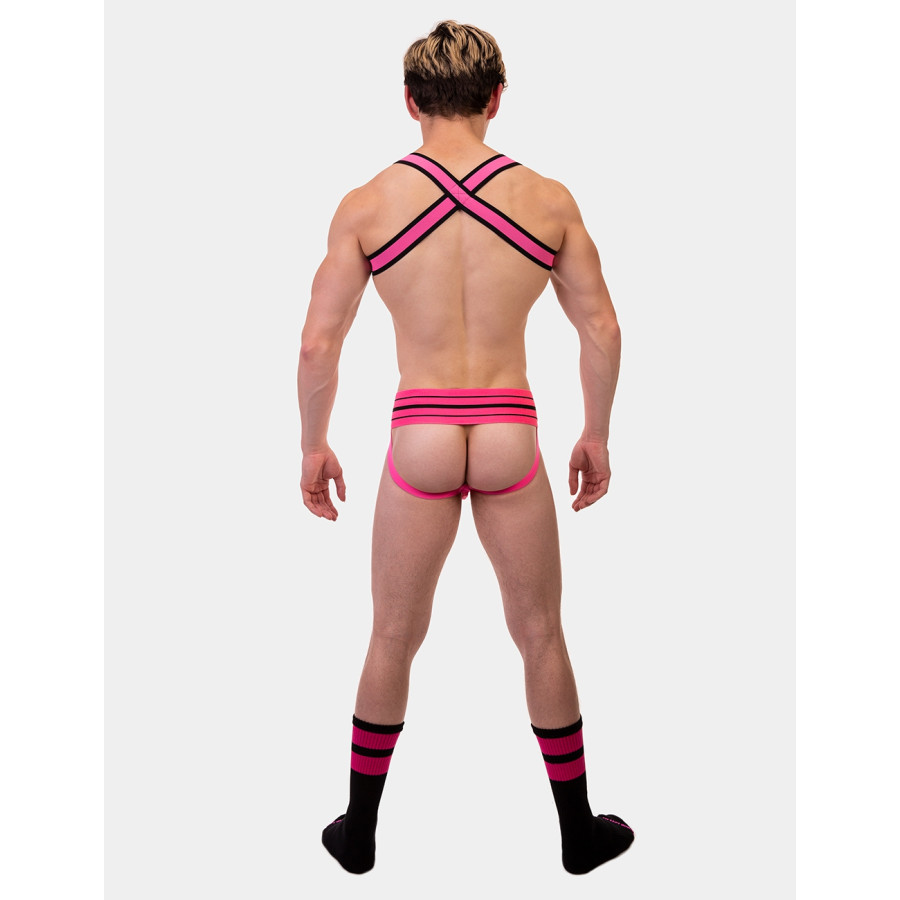 Harnais élastique Colin Rose