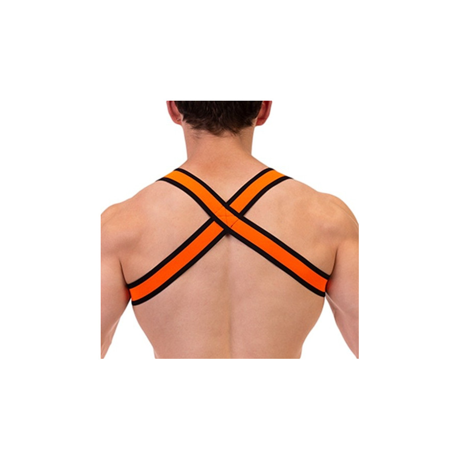 Harnais élastique Colin Orange