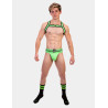 Harnais élastique Colin Vert