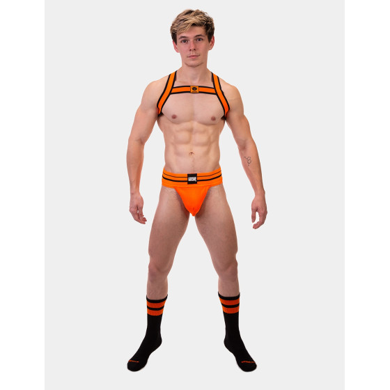 Harnais élastique Colin Orange