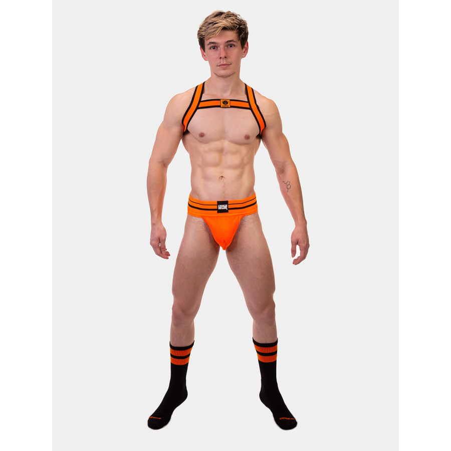 Harnais élastique Colin Orange