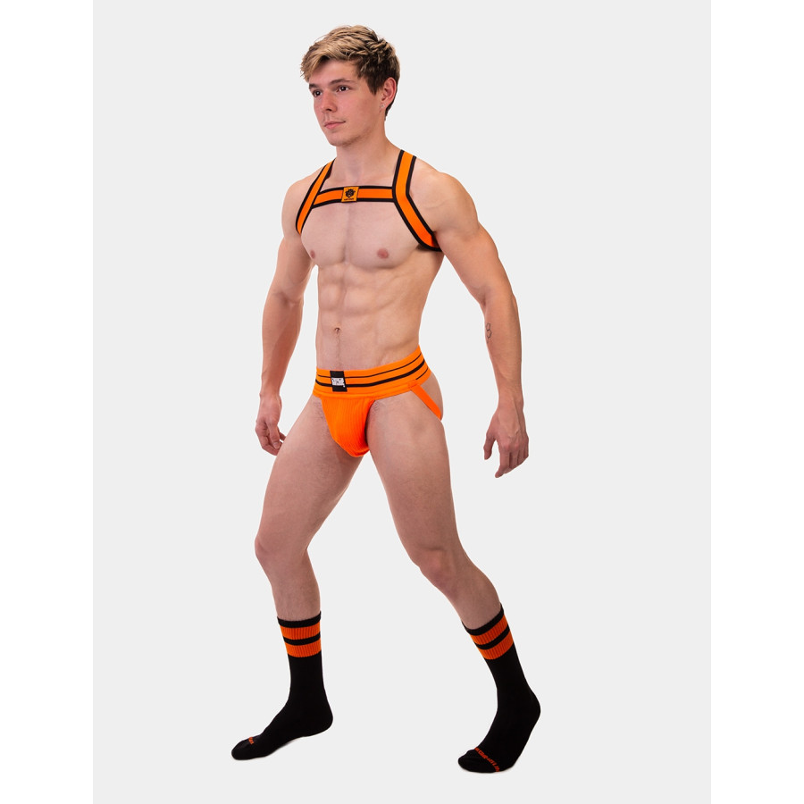 Harnais élastique Colin Orange