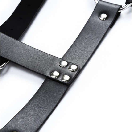 Harnais CHEST BELT Noir