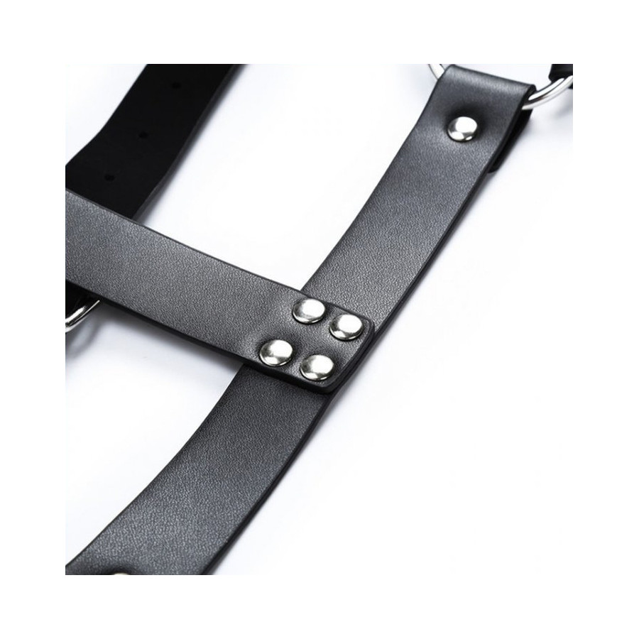 Harnais CHEST BELT Noir
