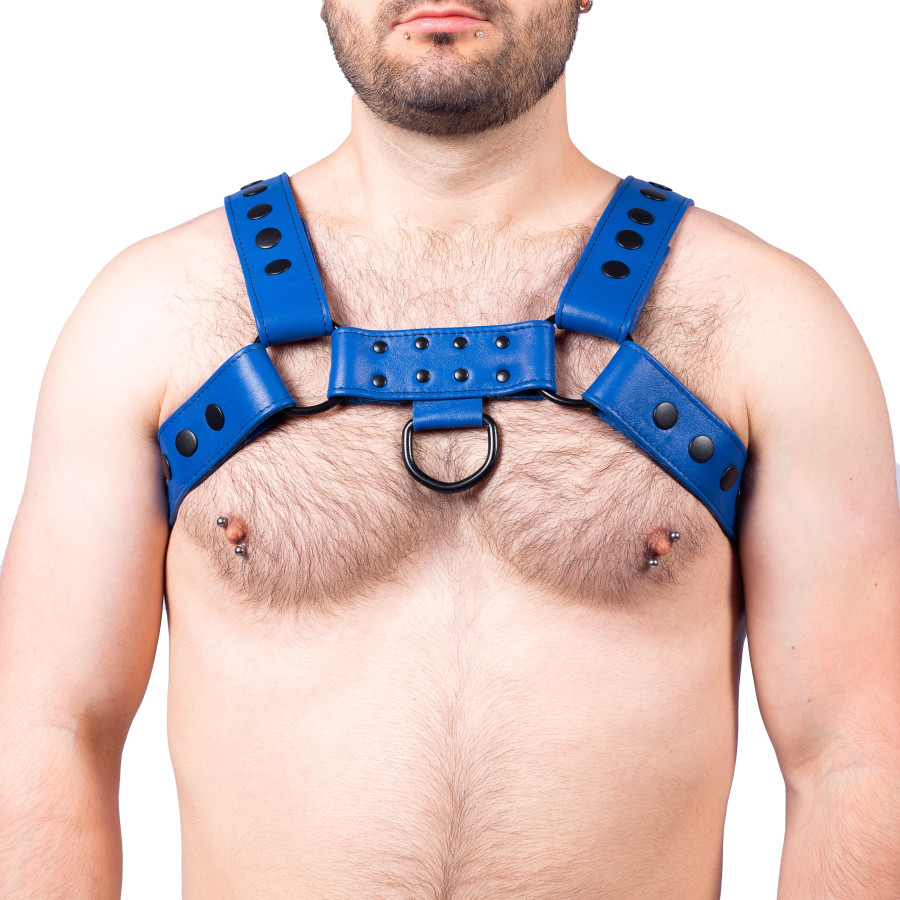 Harnais en cuir Snap Bleu Harnais en cuir Snap Bleu