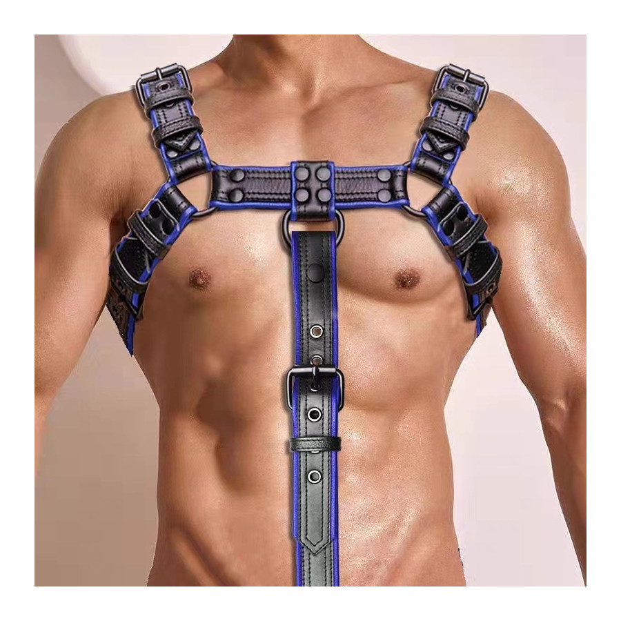 Hashon Simili Harness Black-Blue