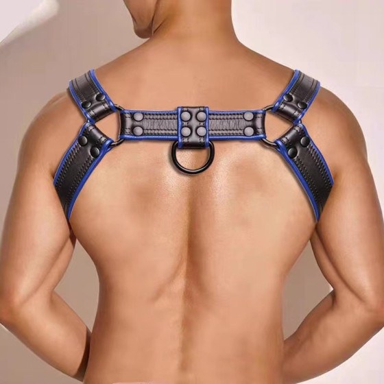 Hashon Simili Harness Black-Blue