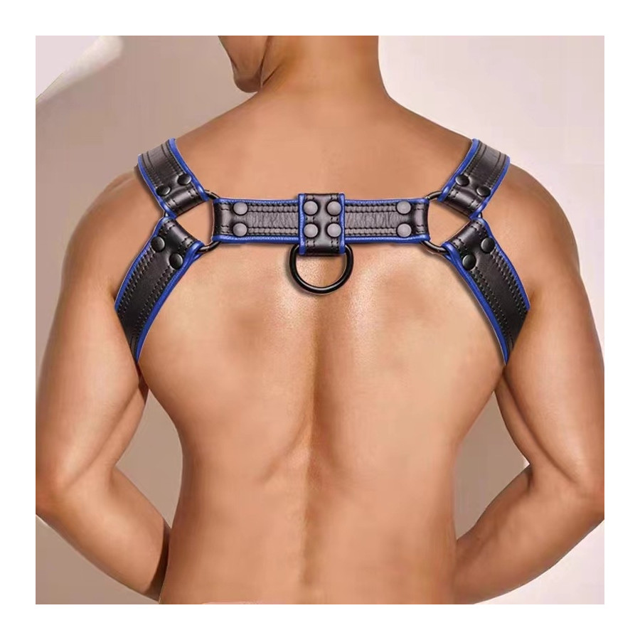 Hashon Simili Harness Black-Blue