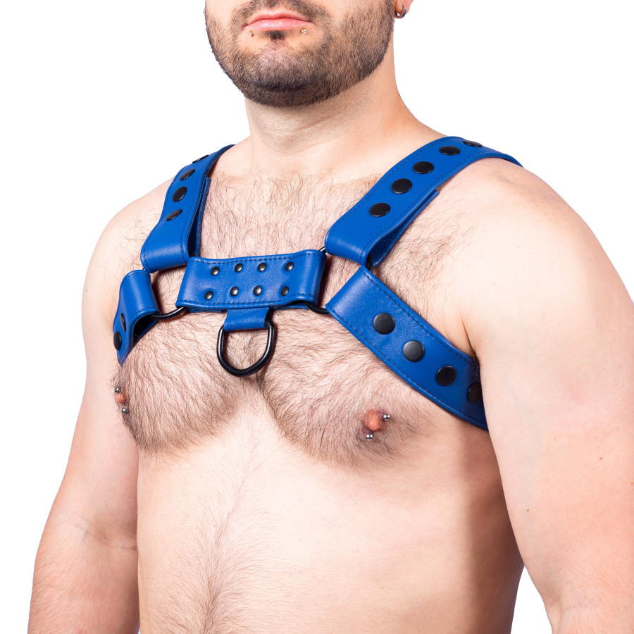 Harnais en cuir Snap Bleu
