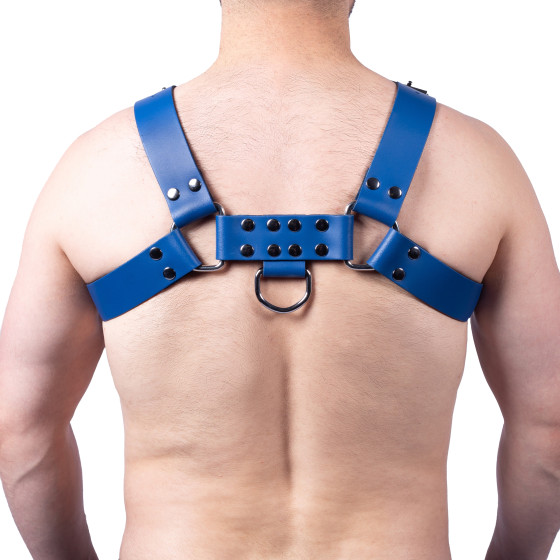Harnais en cuir Buckle Bleu
