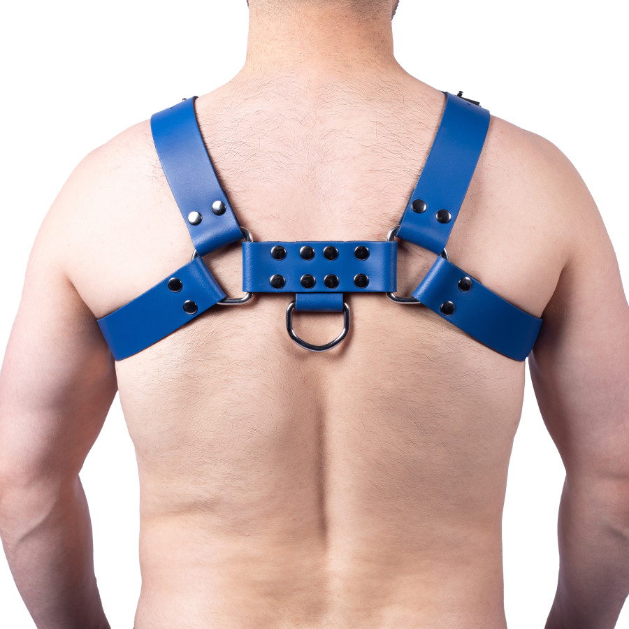 Harnais en cuir Buckle Bleu