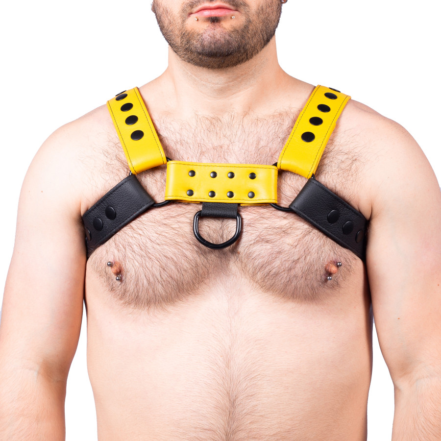 Harnais en cuir Snap Noir-Jaune Harnais en cuir Snap Noir-Jaune