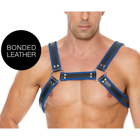 Harnais Buckle Bulldog Noir-Bleu