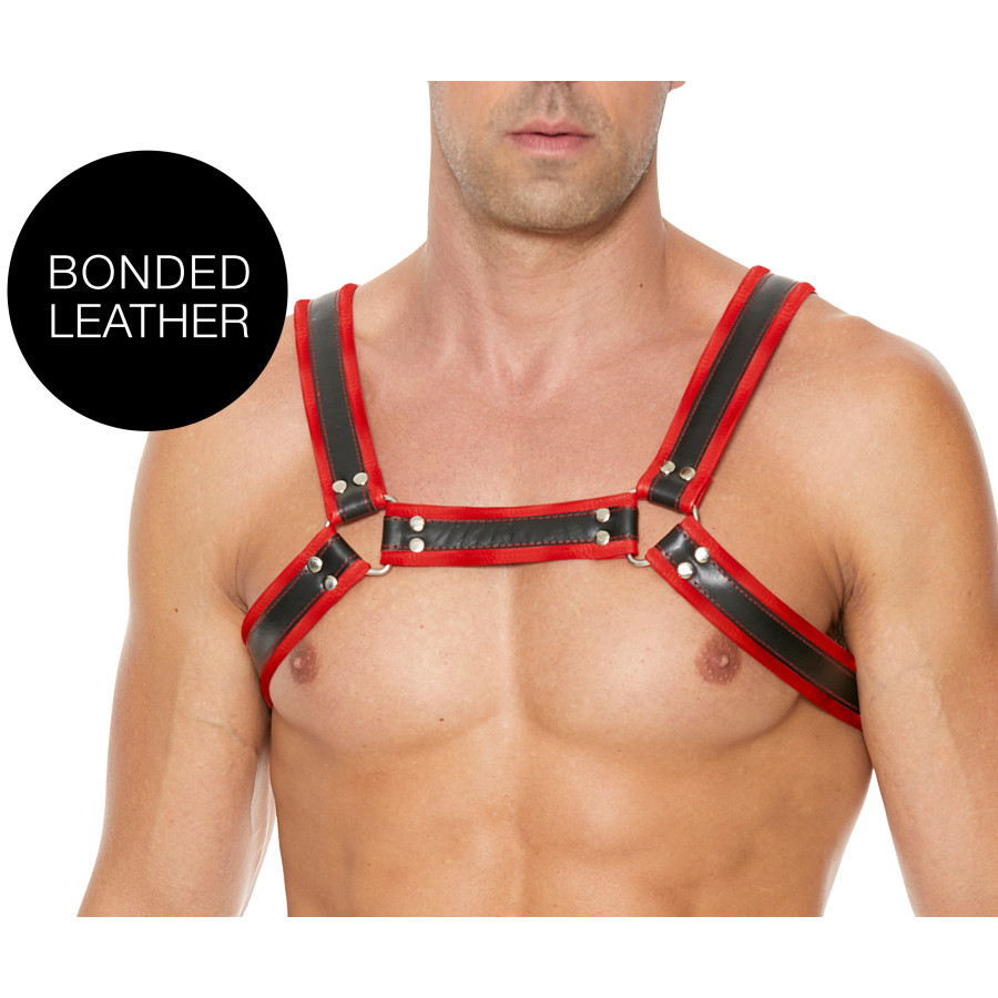 Harnais Buckle Bulldog Noir-Rouge