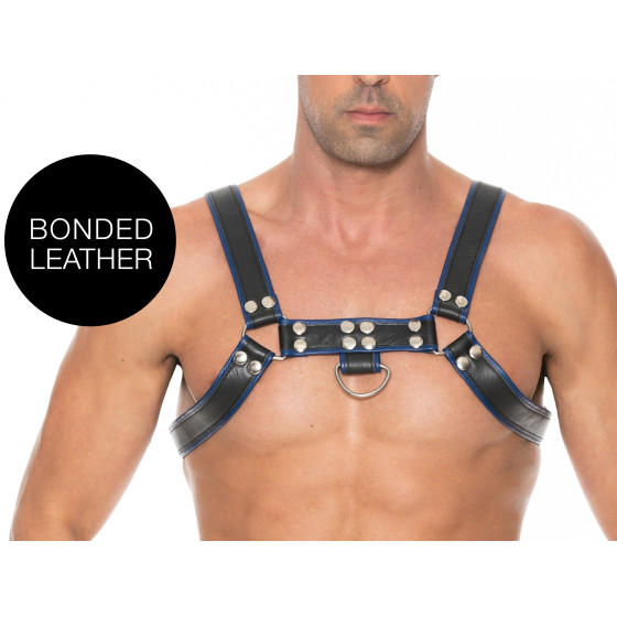 Harnais Chest Bulldog Noir-Bleu