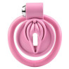 Cage de Chasteté Sissy Clit 2.5 x 3.8cm Rose