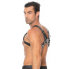 Harnais Chest Bulldog Noir