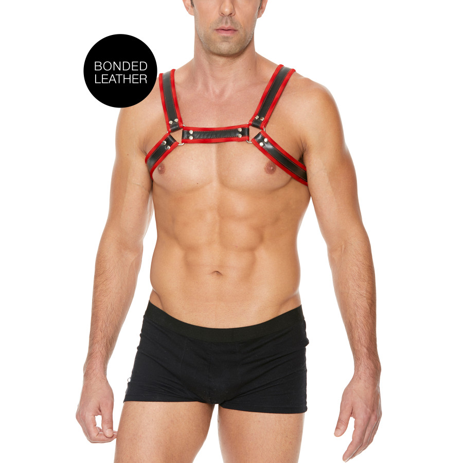 Harnais Buckle Bulldog Noir-Rouge