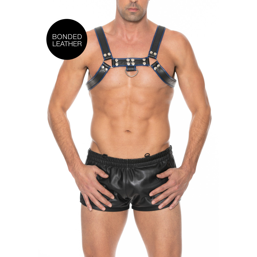 Harnais Chest Bulldog Noir-Bleu