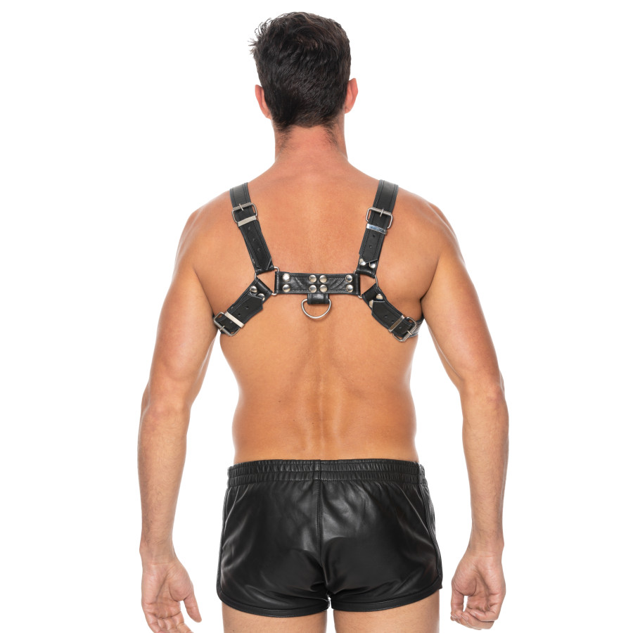 Harnais Chest Bulldog Noir