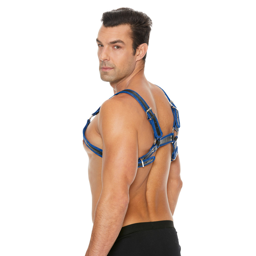 Harnais Buckle Bulldog Noir-Bleu