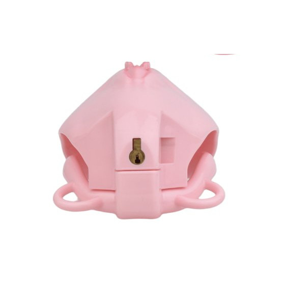 Cage de Chasteté avec Harnais Sislab 5.5 x 3.5cm Rose