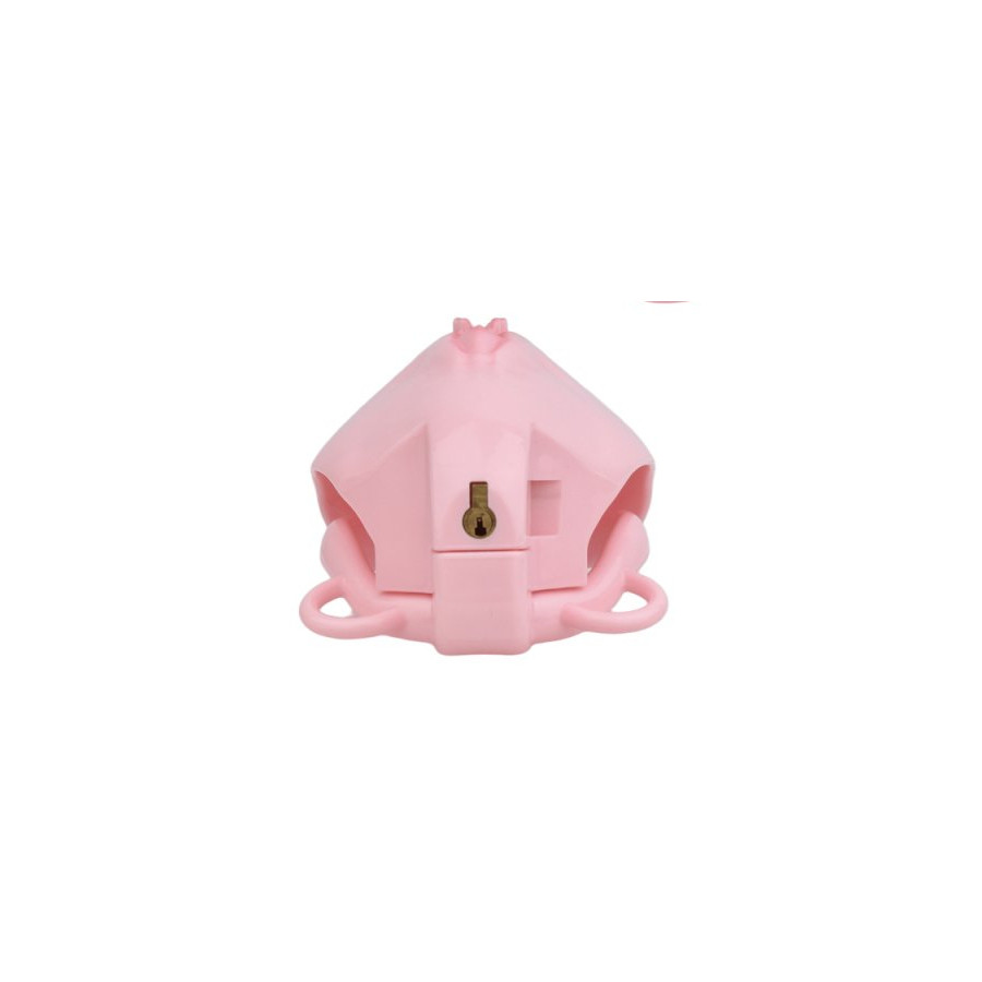Cage de Chasteté avec Harnais Sislab 5.5 x 3.5cm Rose