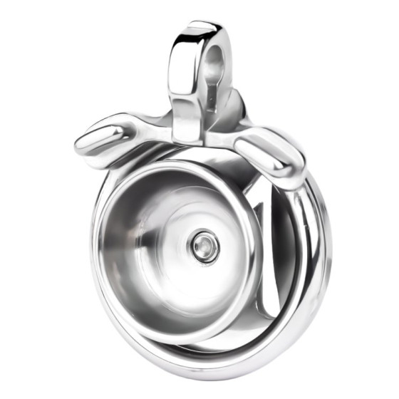 Cage de chasteté Rikidick 1.5 x 2.5m