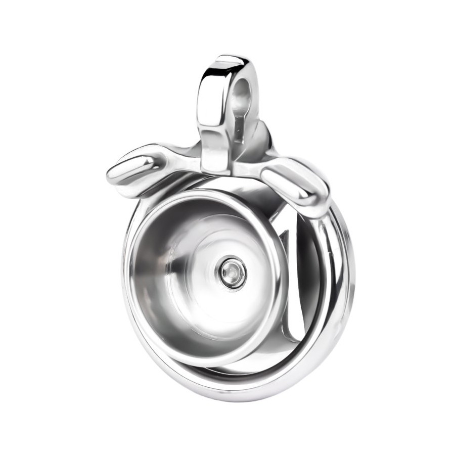 Cage de chasteté Rikidick 1.5 x 2.5m