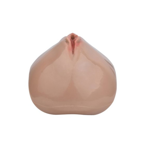 Cage de Chasteté avec Harnais Sislab 5.5 x 3.5cm Marron