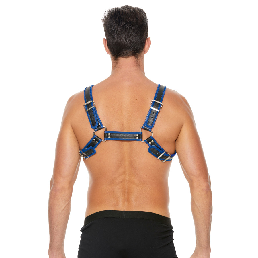 Harnais Buckle Bulldog Noir-Bleu