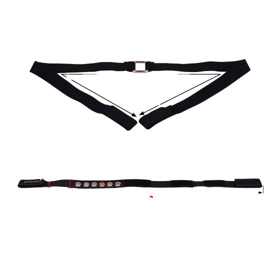 Cage de Chasteté avec Harnais Sislab 5.5 x 3.5cm Marron