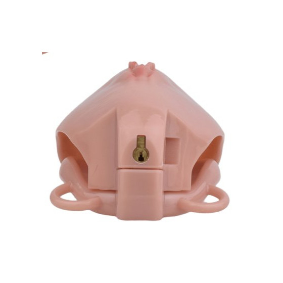 Cage de Chasteté avec Harnais Sislab 5.5 x 3.5cm Chair