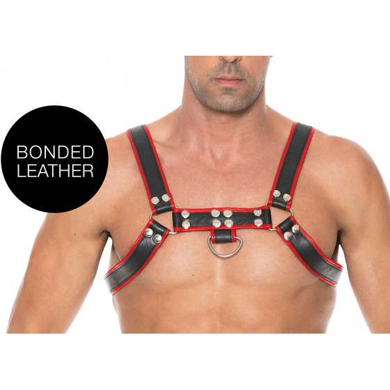 Harnais Chest Bulldog Noir-Rouge