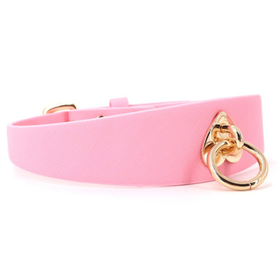 Collier-Laisse Barbing Collier-Laisse Barbing
