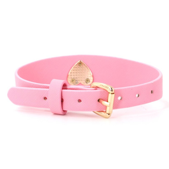 Collier-Laisse Barbing Collier-Laisse Barbing