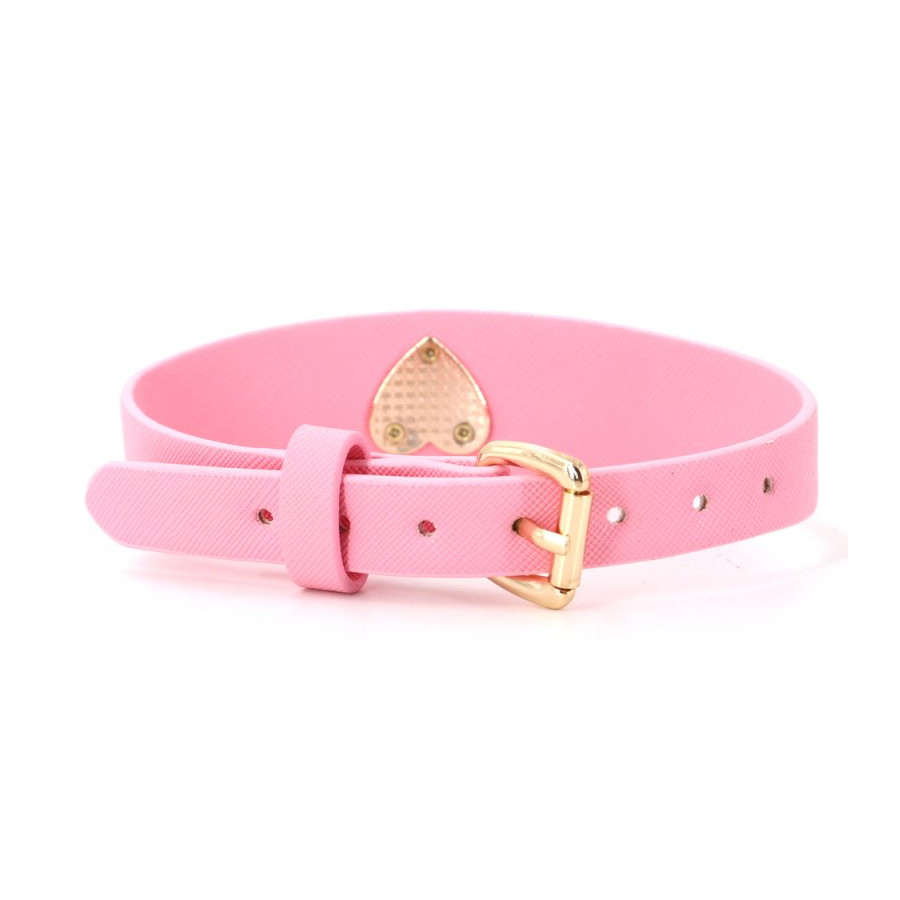 Collier-Laisse Barbing