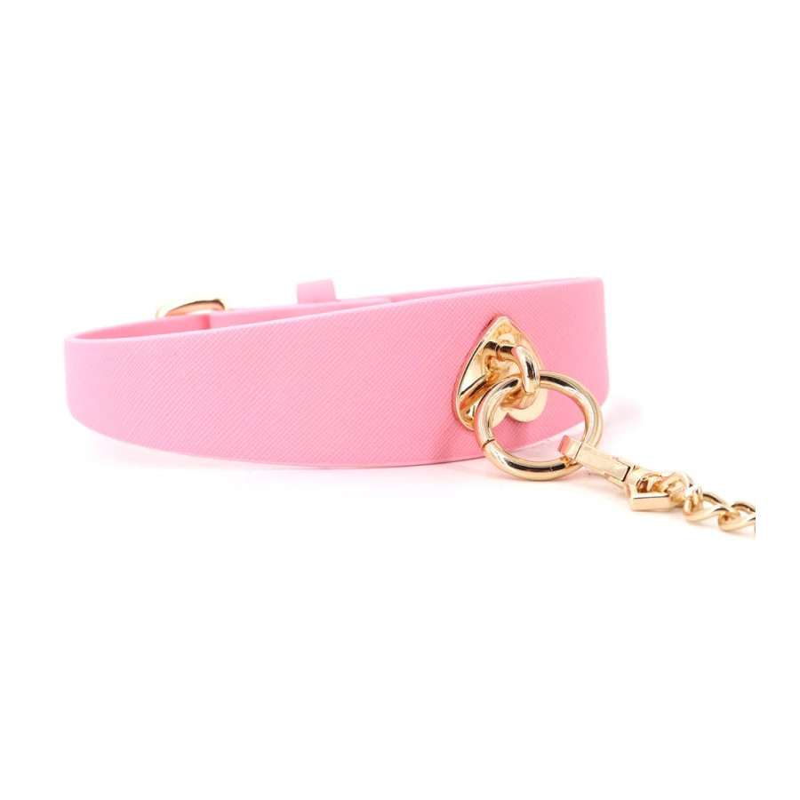 Collier-Laisse Barbing