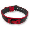 Collier Puppy Collar Noir-Rouge