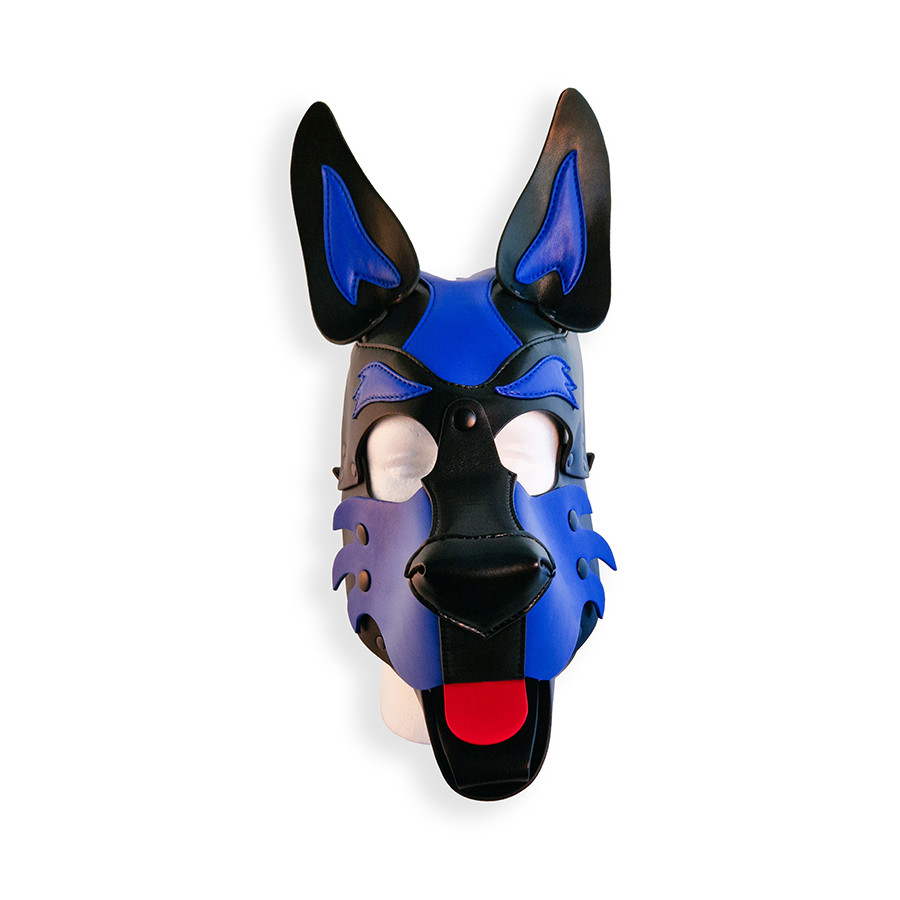 Puppy Hood Black and Blue