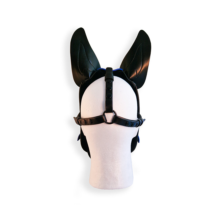 Puppy Hood Black and Blue