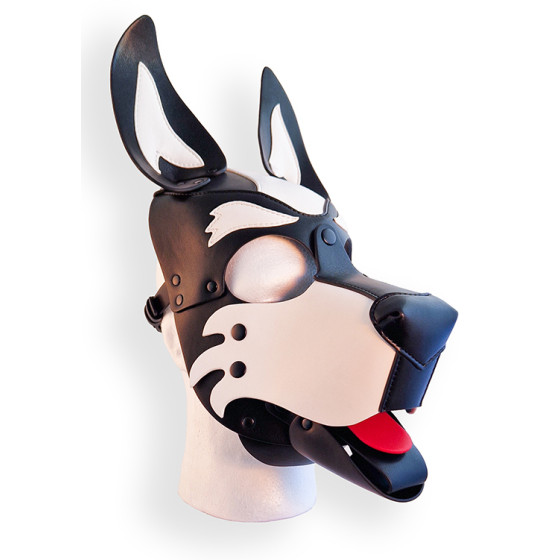 Puppy Hood Black and White