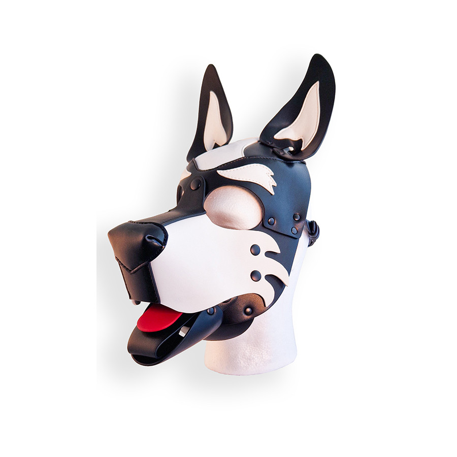 Puppy Hood Black and White