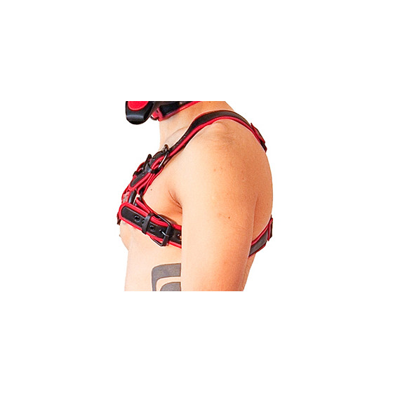 Harnais Puppy Harness Noir-Rouge
