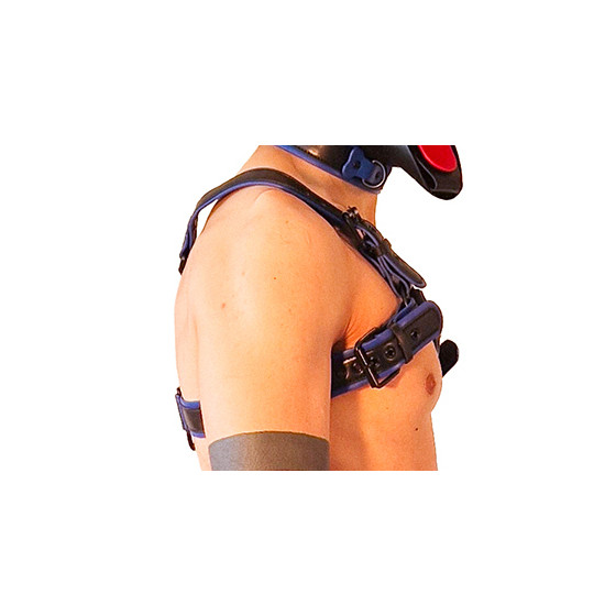 Harnais Puppy Harness Noir-Bleu