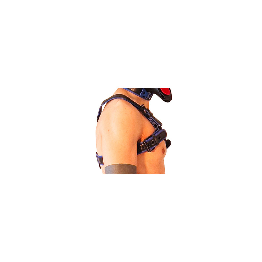 Harnais Puppy Harness Noir-Bleu