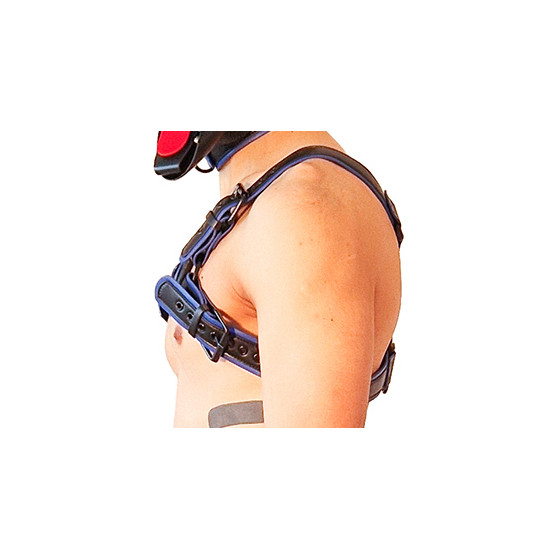 Harnais Puppy Harness Noir-Bleu